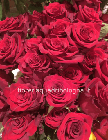 Rose rosse da comporre in mazzo per numero di steli.