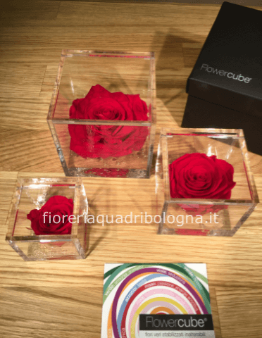 FLOWERCUBE ROSA ROSSA