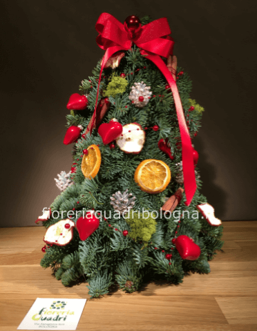 Alberino natale di abete