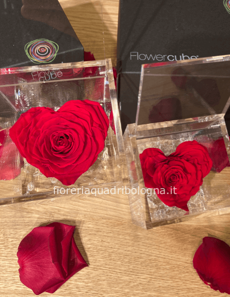 FLOWERCUBE ROSA ROSSA A CUORE