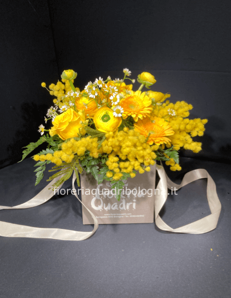 Cubetto fiorito mimosa