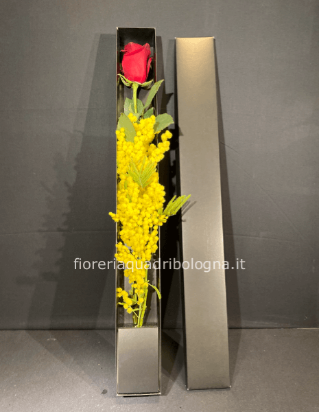 Scatola rosa e mimosa