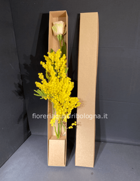 Scatola rosa e mimosa