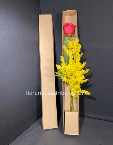 Scatola rosa e mimosa