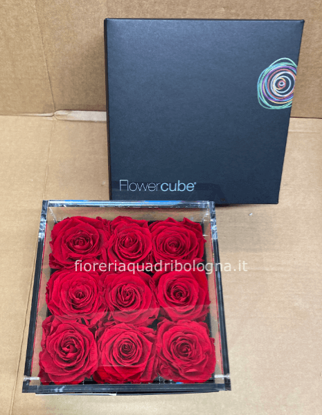 SCATOLA DI PLEXIGLASS CON NOVE ROSE STABILIZZATE